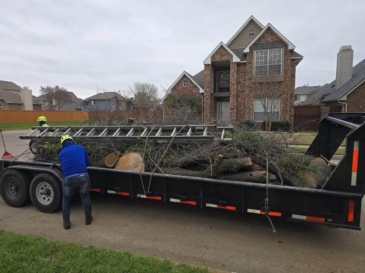 Expert Lot Clearing with proper safety equipment in Dateland